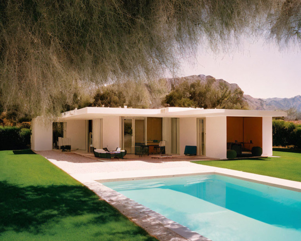 Mid-Century Modern House with Large Windows, Flat Roof, Pool, and Green Landscape