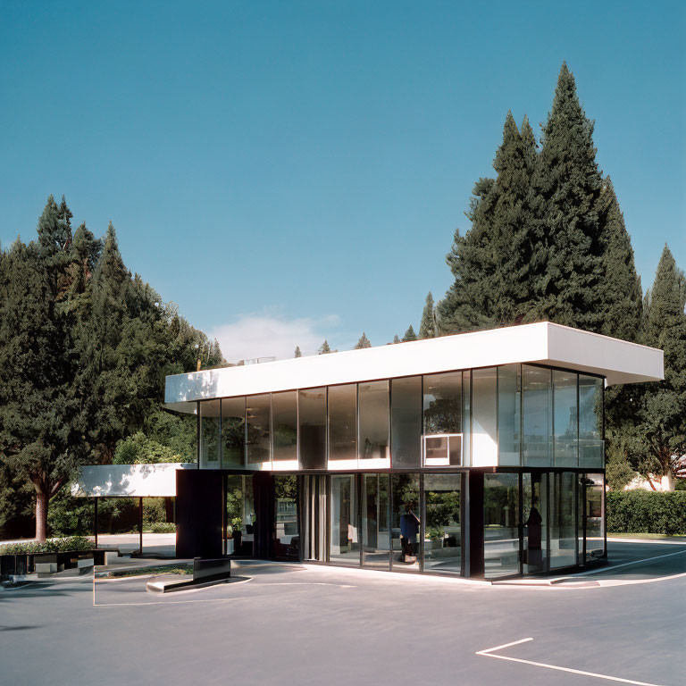 Glass building and trees under clear blue sky.