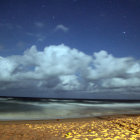 Night beach scene with crescent moon and glowing ocean waves.