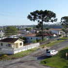 Surreal landscape with oversized treetops and quaint village under blue sky