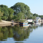 Tranquil riverscape with green trees, reflections, birds, and swimming ducks