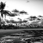 Detailed Black and White Landscape with Village Silhouette