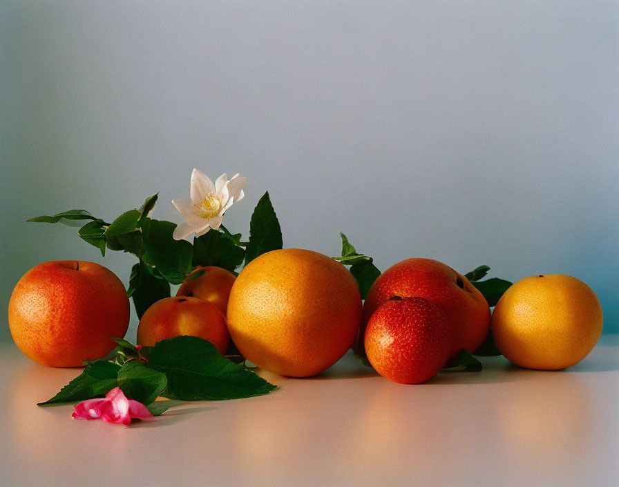 Ripe Oranges with White Flower and Pink Petal on Table