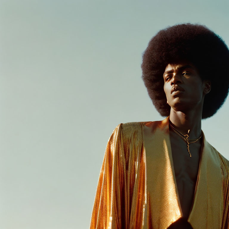 Person with Large Afro in Shimmering Gold Jacket Against Pale Sky