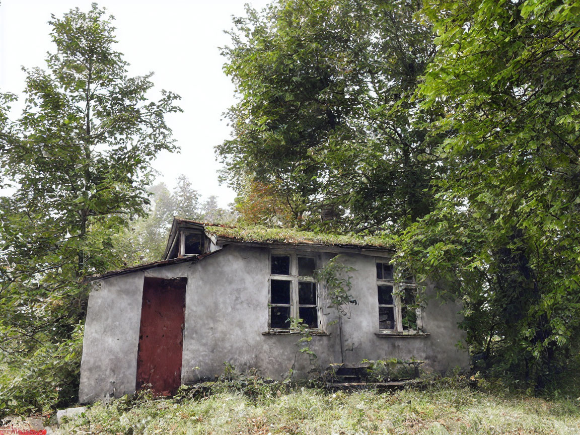 Decrepit abandoned house in overgrown forest