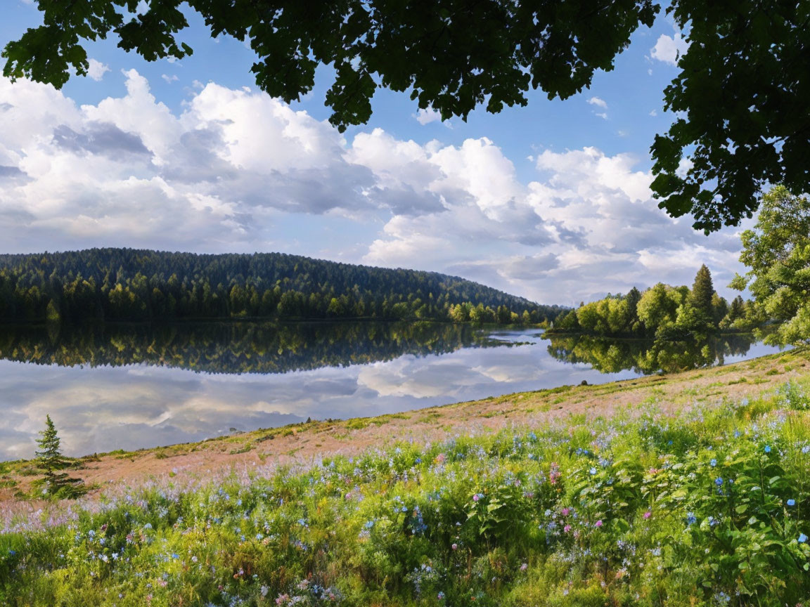 Tranquil lake scene with mirrored water, forested hills, and overhanging branches