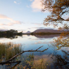 Autumnal lake painting with orange foliage, calm water reflections, and hazy mountains.