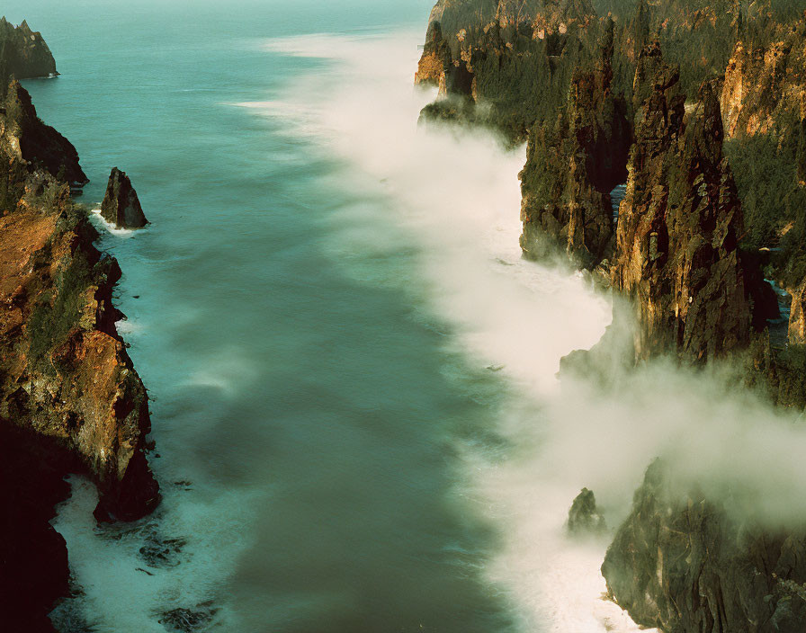 Lush greenery on rugged cliffs above misty shoreline & flowing sea waves