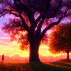 Vibrant sunset scene with person under blooming tree