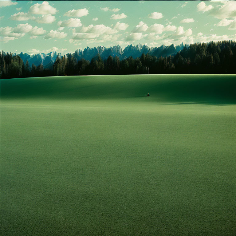 Person standing in vast green field under blue sky with distant mountain range