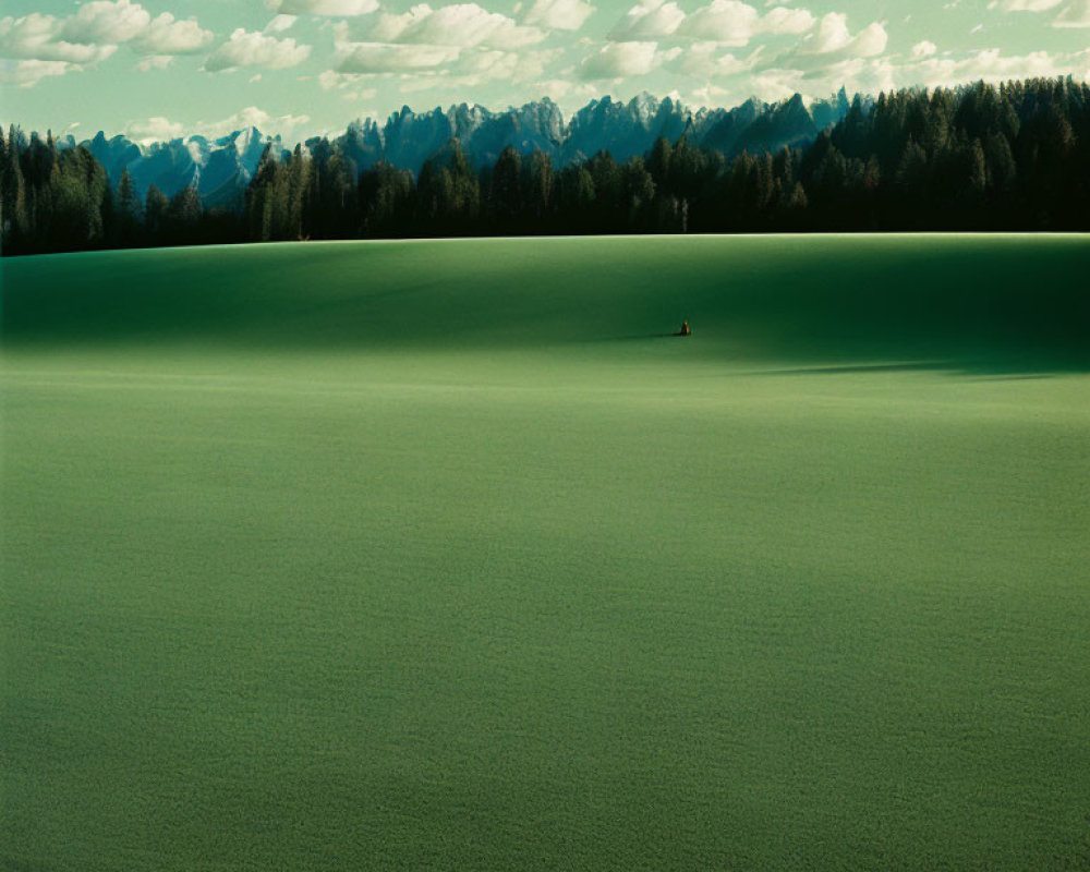 Person standing in vast green field under blue sky with distant mountain range