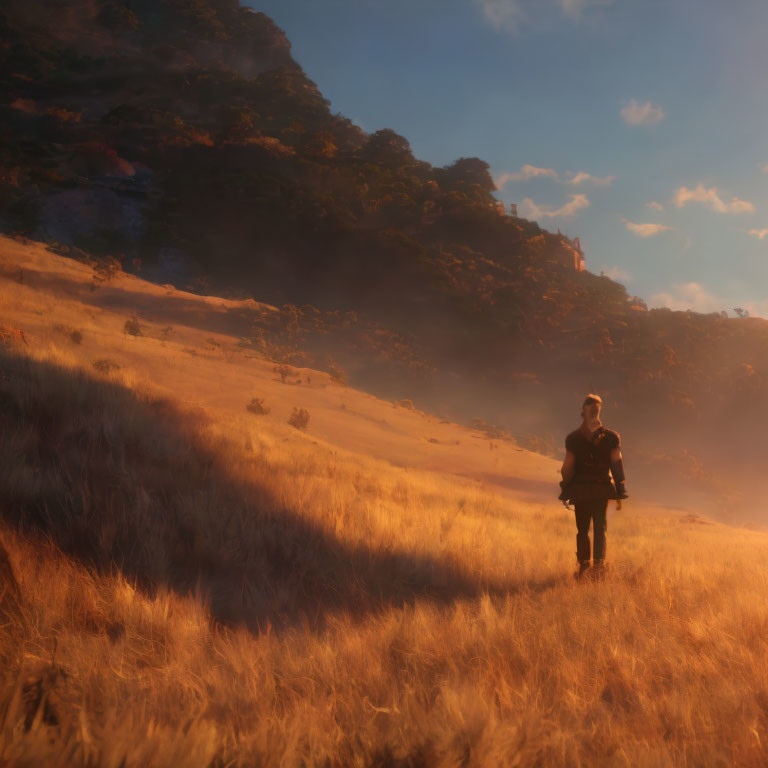 Person in golden sunset field with camera, hills and trees in warm light