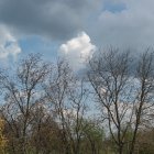 Sunlight Piercing Through Stormy Sky Over Trees and Landscape