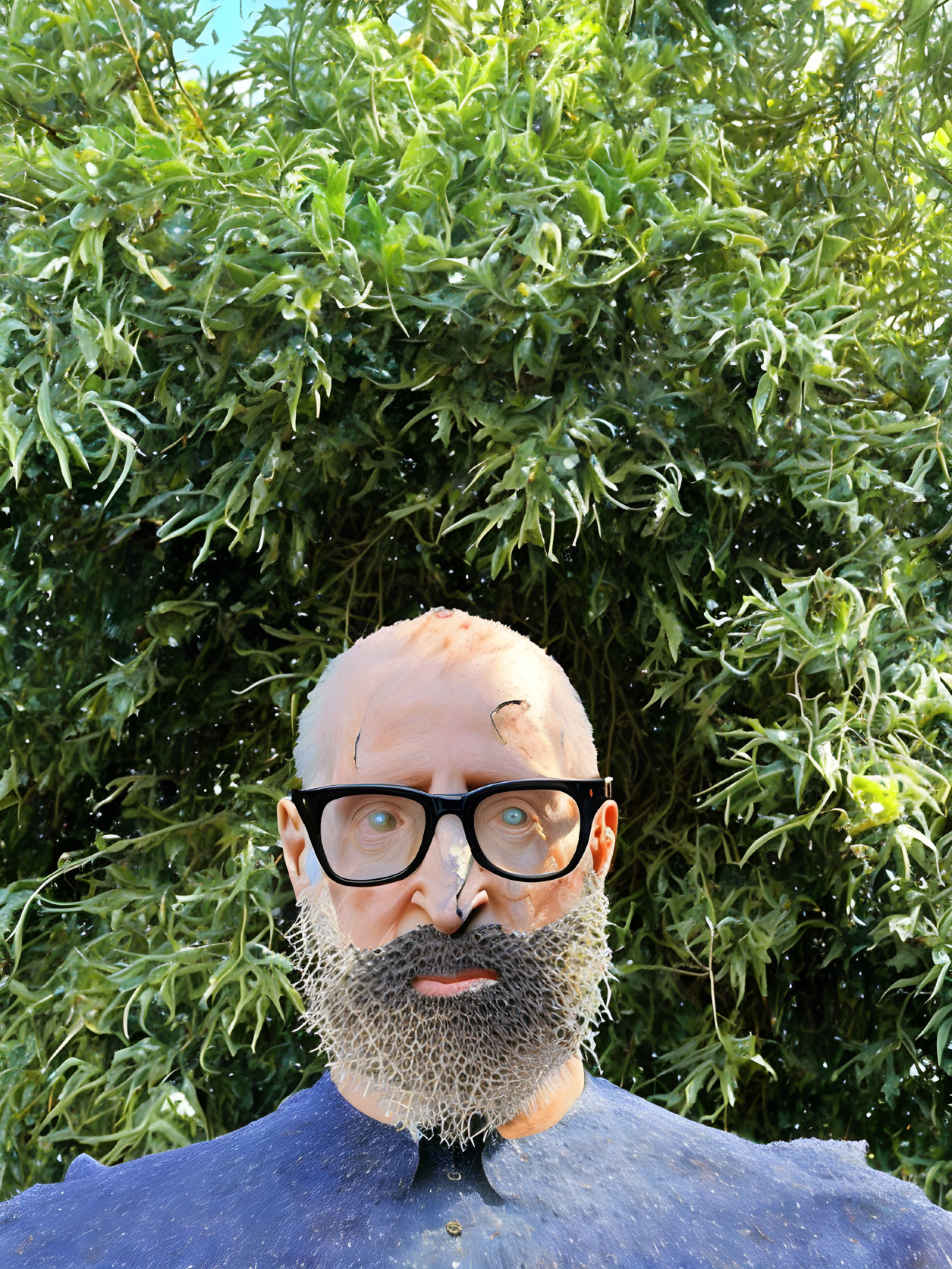 Bald Person with Beard, Glasses, Blue Top, Green Background