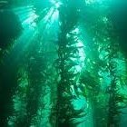 Ancient underwater ruins with greenish illuminated columns and arches