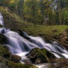 Tranquil stream with rocks, greenery, and wildflowers