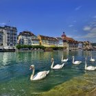 Colorful painting of swans on a serene lake with wildflowers and quaint houses.