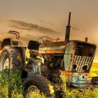 Vintage tractor in colorful wildflower field at sunset with mountains.