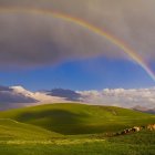 Scenic landscape with double rainbow, green hills, flowers, and snowy mountains