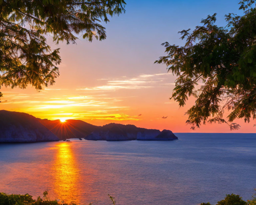 Scenic sunset over calm sea with mountain silhouette and leafy foreground