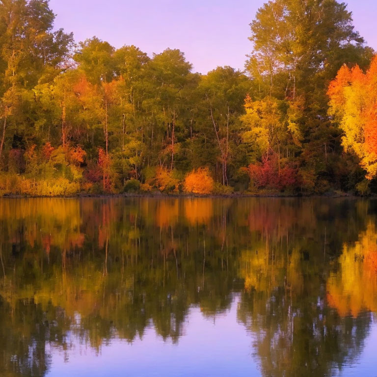 Tranquil lake reflects vibrant autumn foliage.