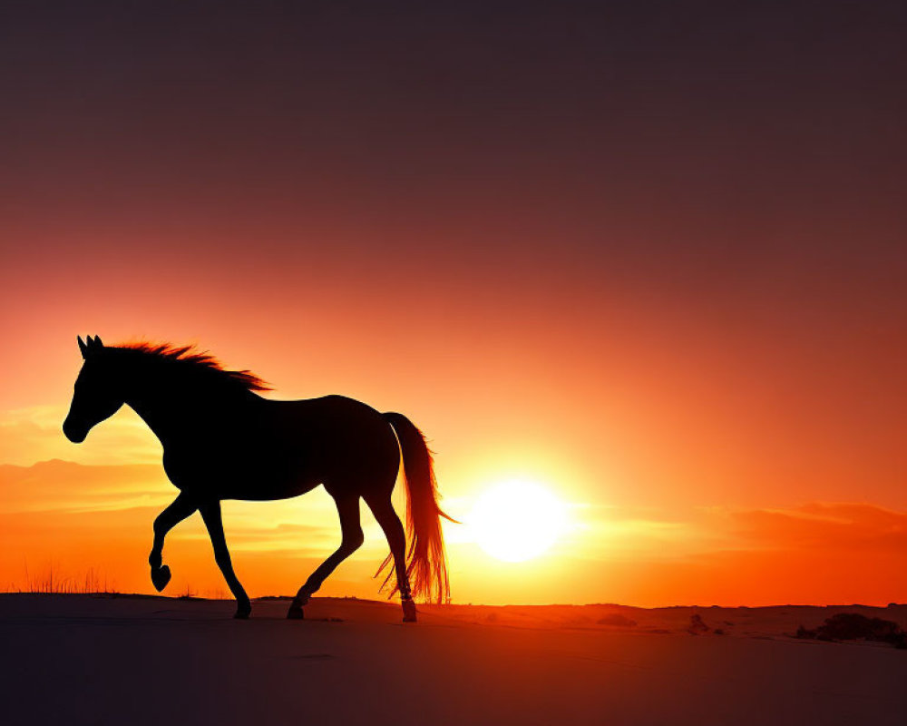 Horse silhouette against vibrant orange sunset