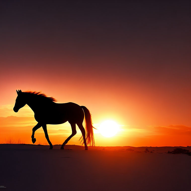 Horse silhouette against vibrant orange sunset