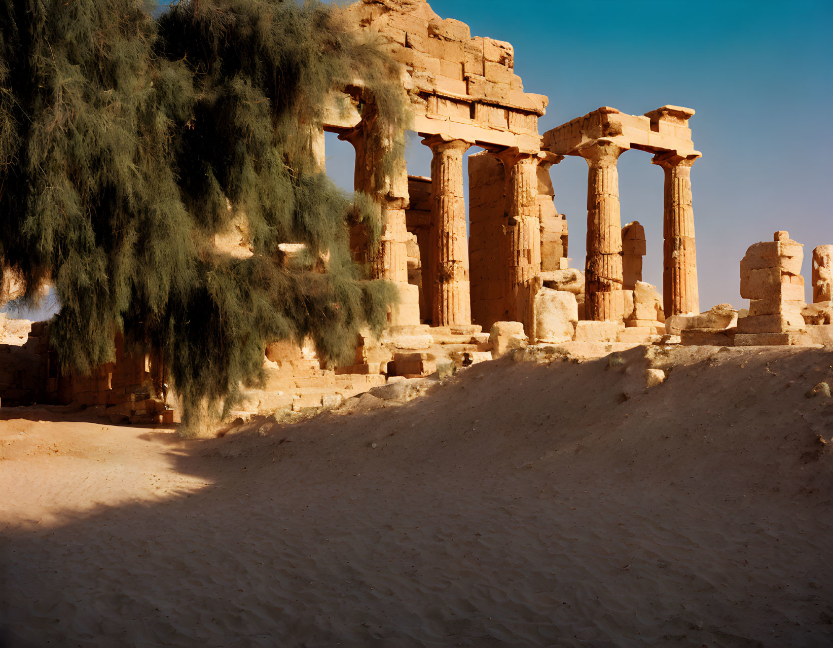 Ancient desert ruins with columns, arches, and a tree casting shadows