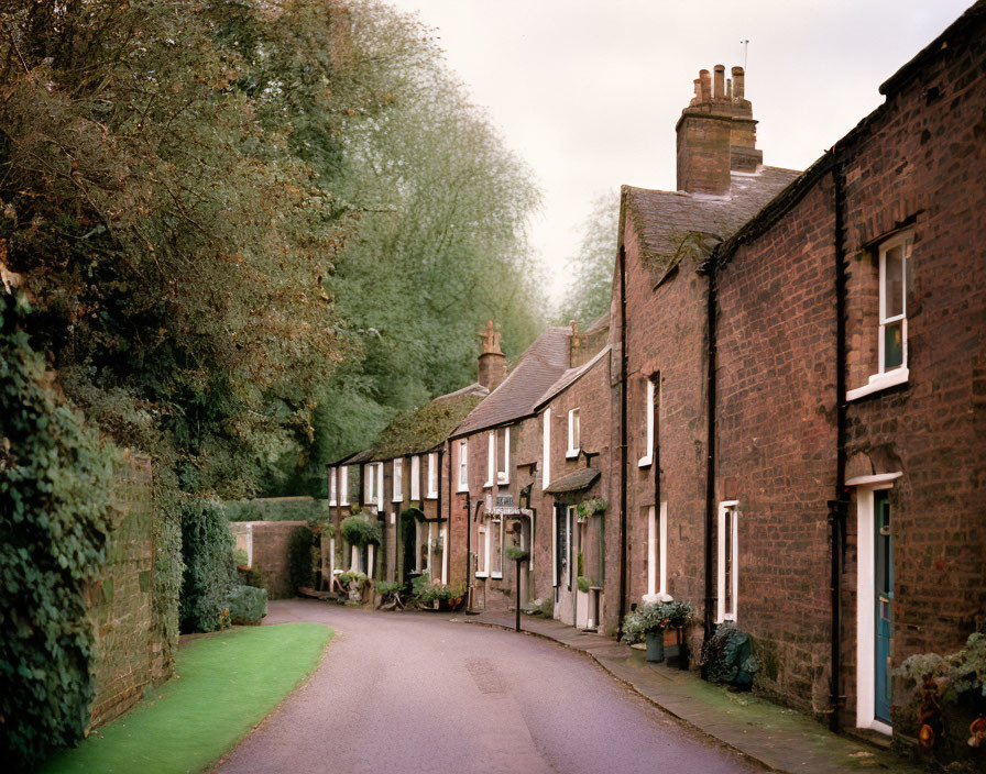 Traditional brick houses and green trees on a quaint street under overcast sky