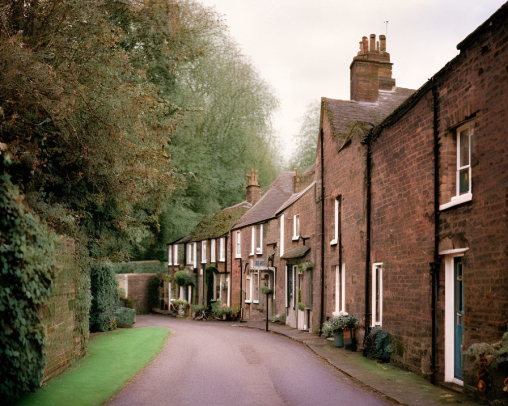 Traditional brick houses and green trees on a quaint street under overcast sky