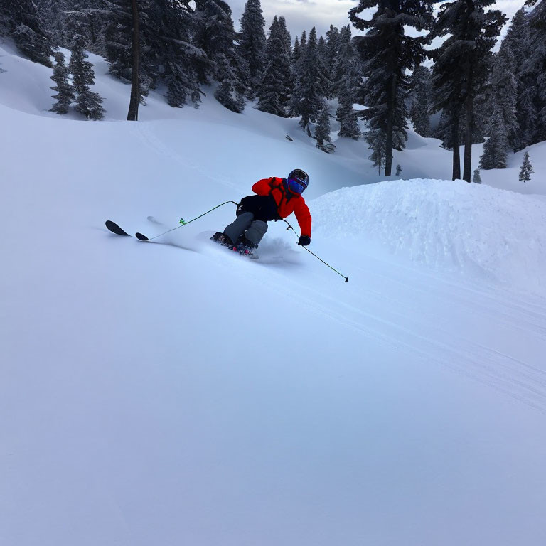 Skier in Red and Blue Jacket Carving Turn on Snowy Slope