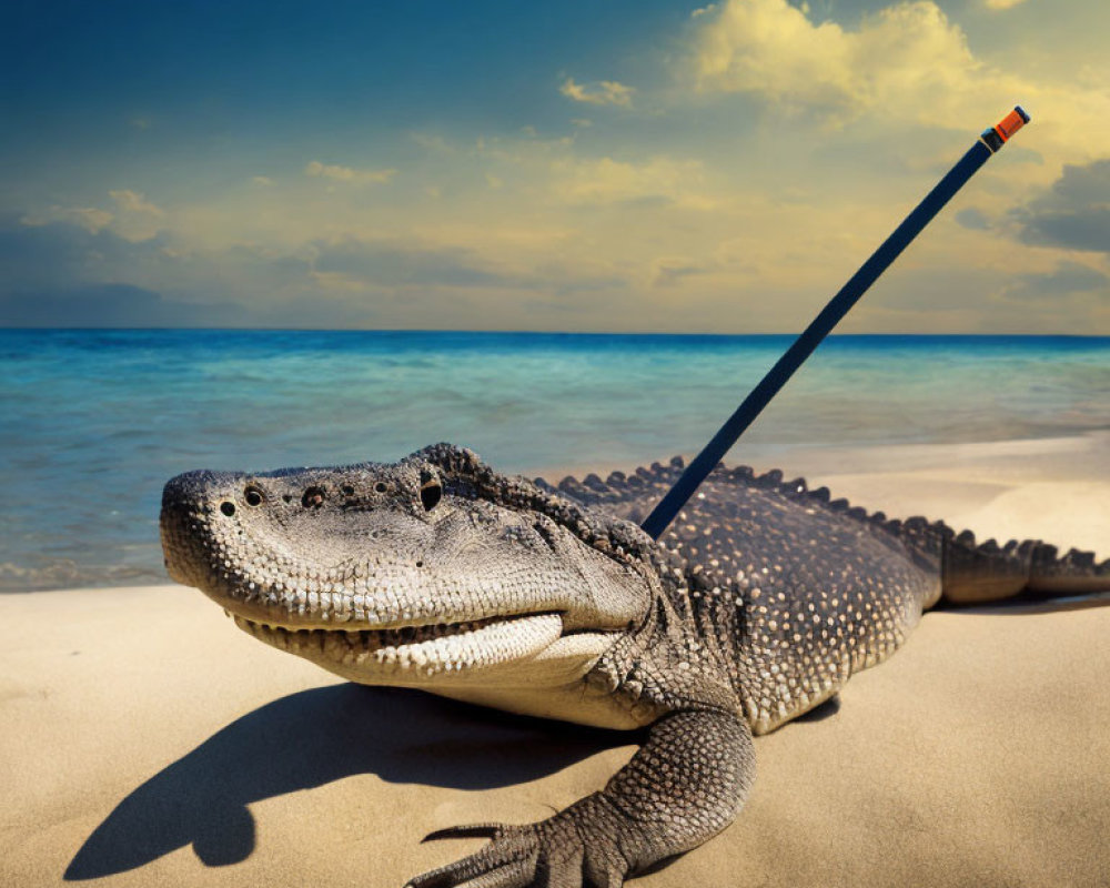 Large alligator with arrow on back on sandy beach by ocean & blue sky