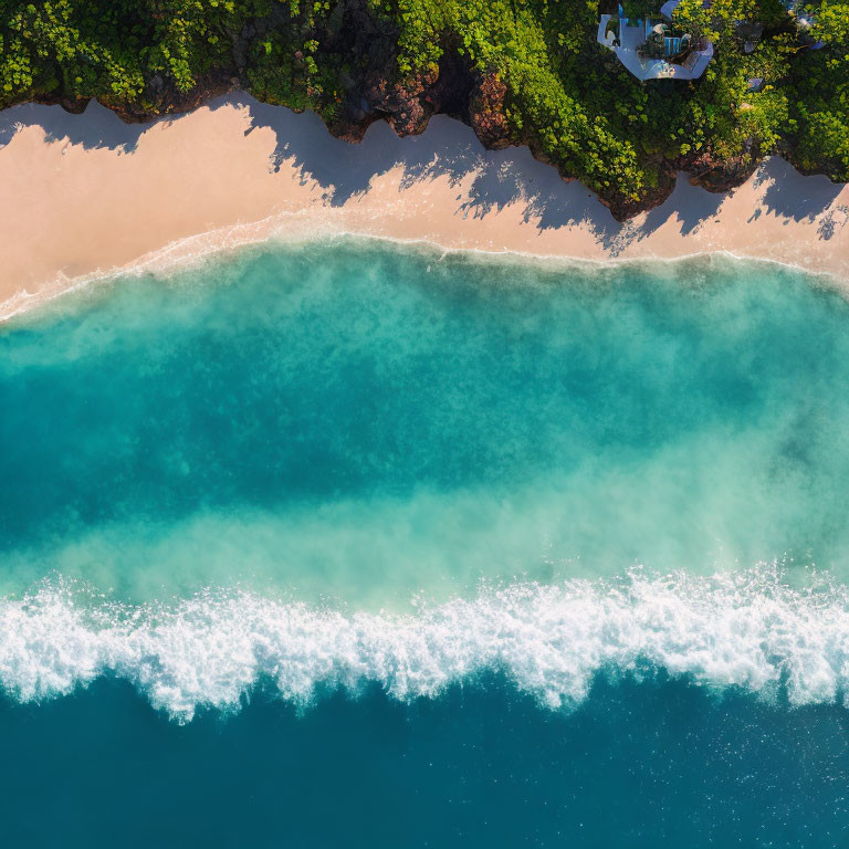 Tranquil Turquoise Sea with Sandy Beach and Greenery