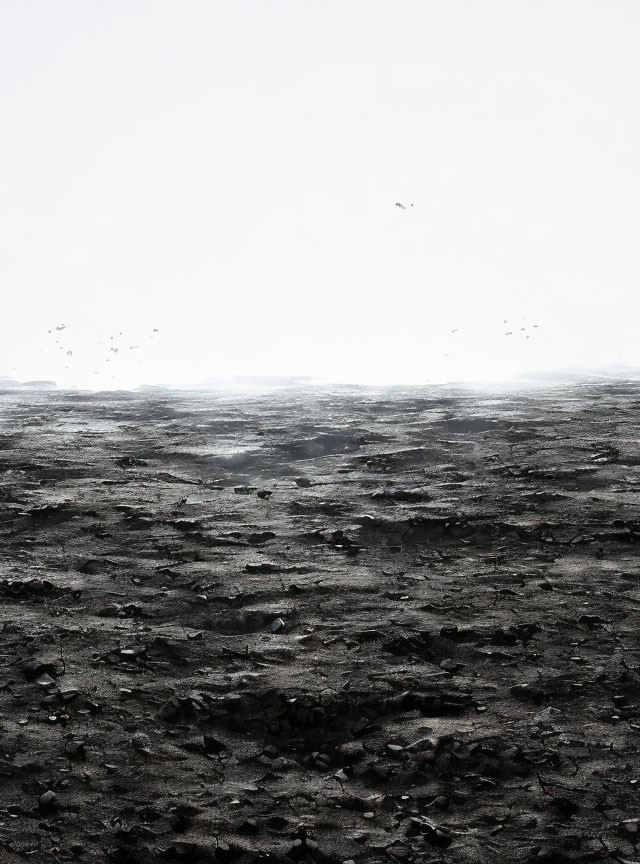 Monochrome landscape of rocky terrain under misty sky with distant birds