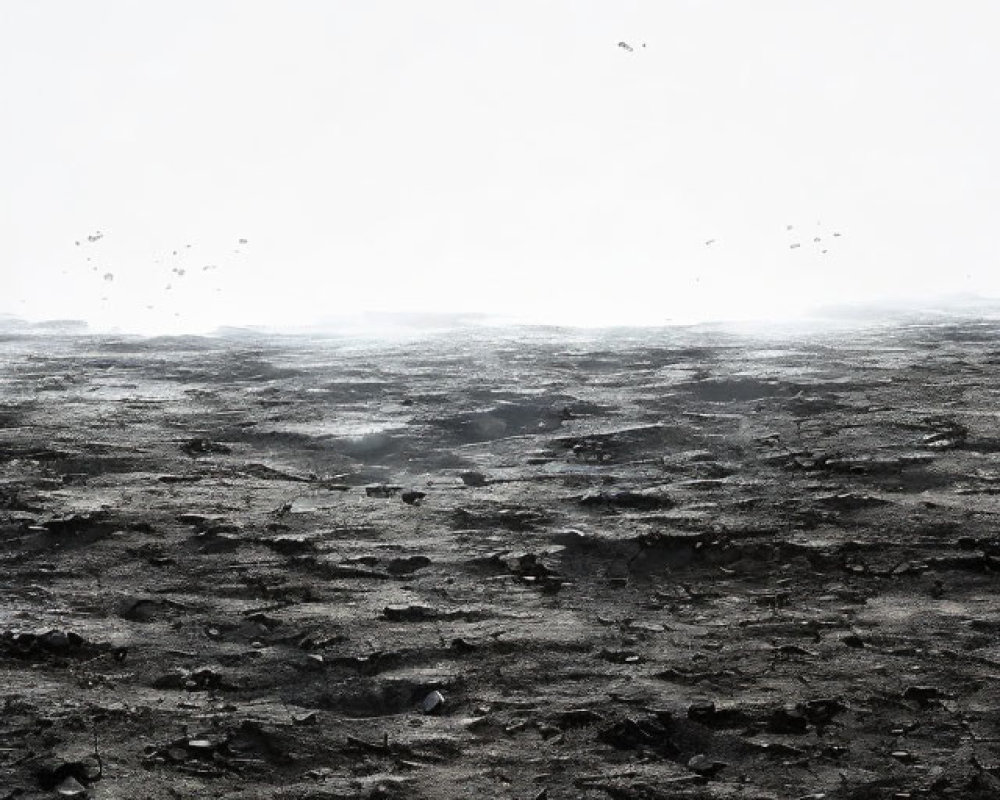 Monochrome landscape of rocky terrain under misty sky with distant birds