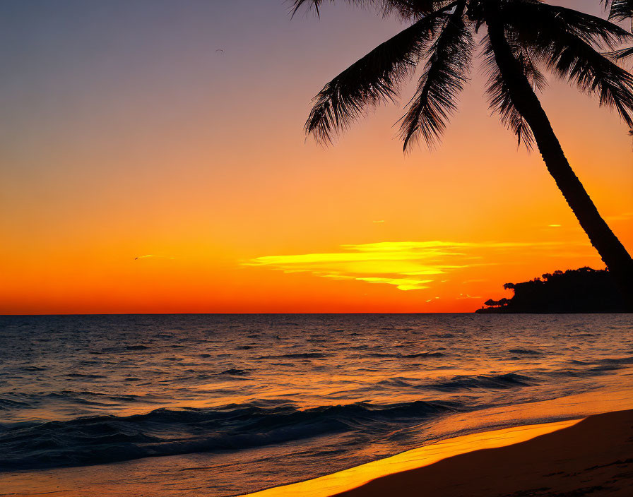 Scenic tropical beach sunset with palm tree silhouette and calm sea