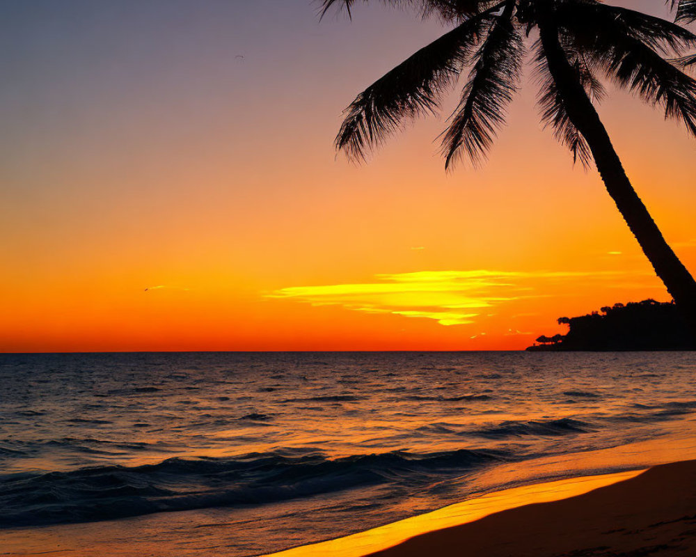 Scenic tropical beach sunset with palm tree silhouette and calm sea