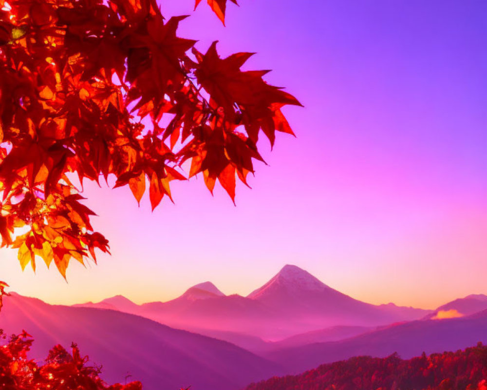 Colorful autumn leaves with purple and pink sunrise over mountains