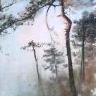 Misty forest with golden leaves under warm sunlight