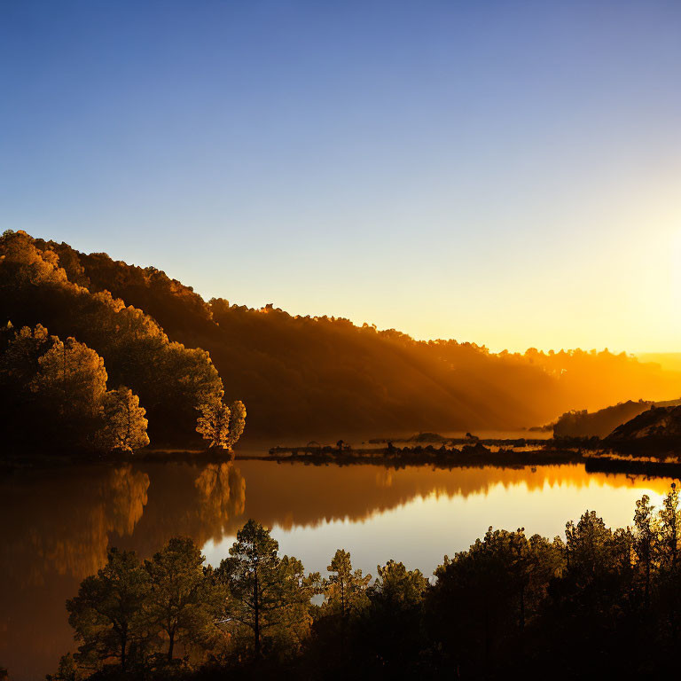 Tranquil sunrise scene at a serene lake with golden reflections