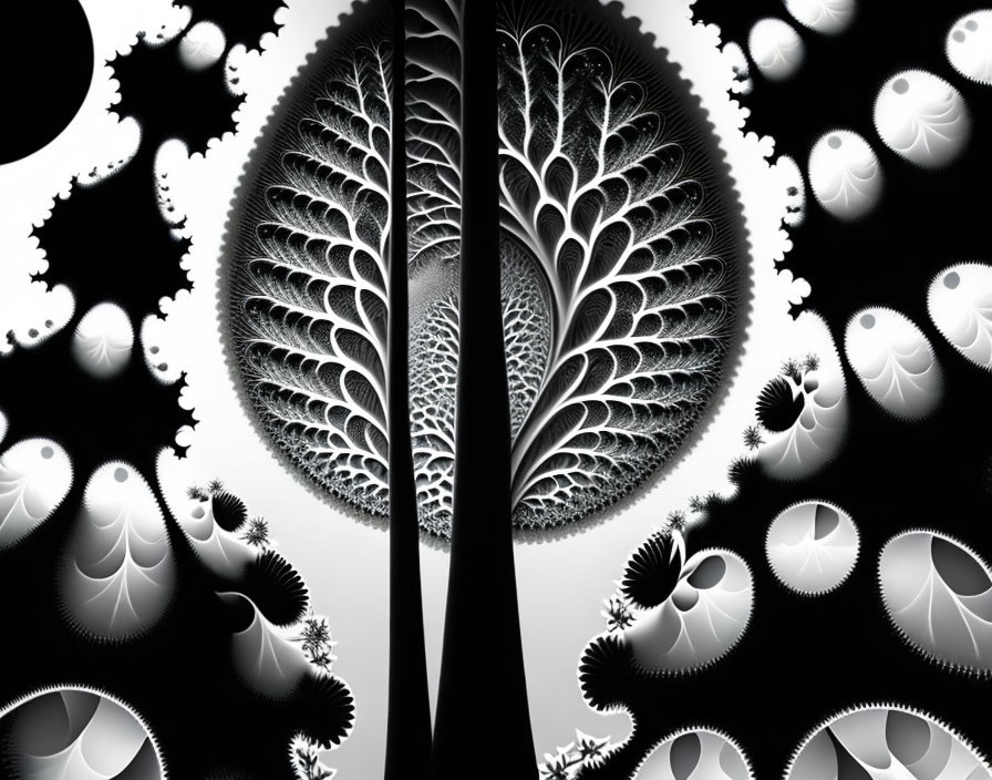 Symmetrical black and white fractal image of tree-like pattern with spirals and paisley shapes