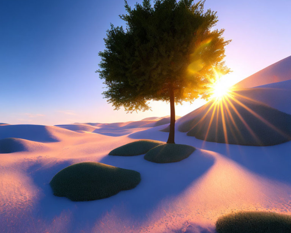 Lush solitary tree in serene sand dunes at sunrise or sunset