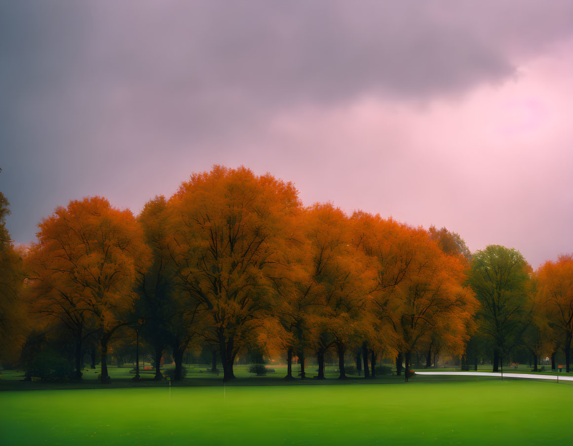 Orange-Leafed Trees Under Moody Sky with Pink Horizon & Green Field