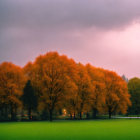 Orange-Leafed Trees Under Moody Sky with Pink Horizon & Green Field