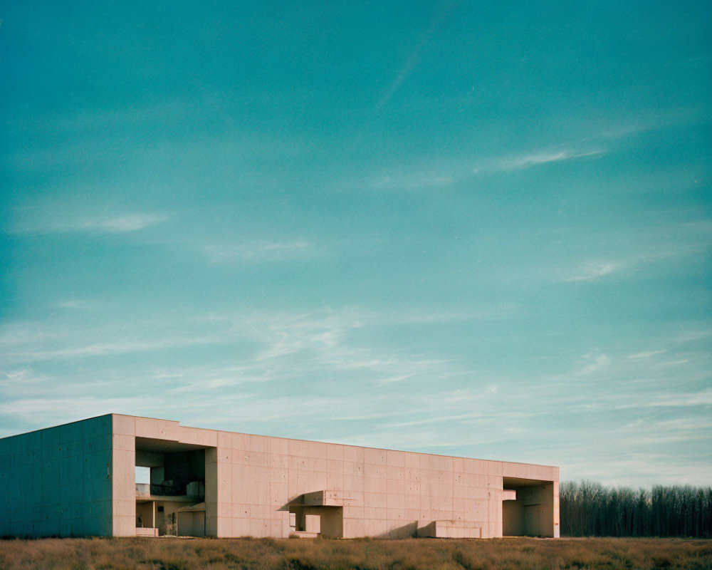 Modern concrete building in minimalist landscape with wild grass and distant treeline