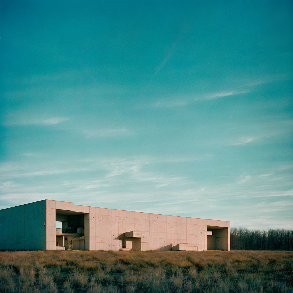 Modern concrete building in minimalist landscape with wild grass and distant treeline