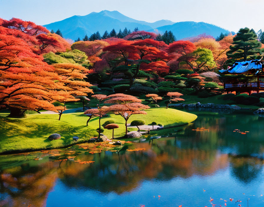 Japanese Garden with Autumn Maple Trees, Pond, Pavilion & Mountains