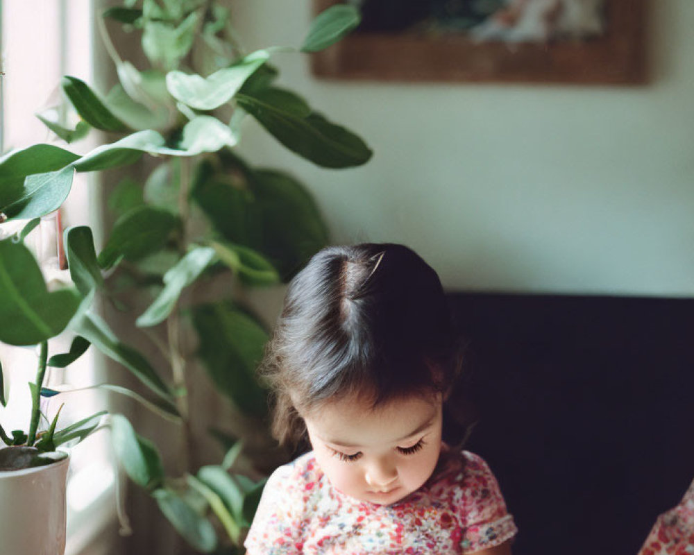 Child reading book by window with plant and painting