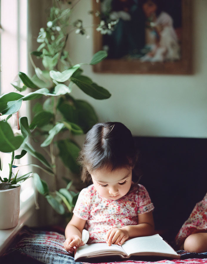 Child reading book by window with plant and painting