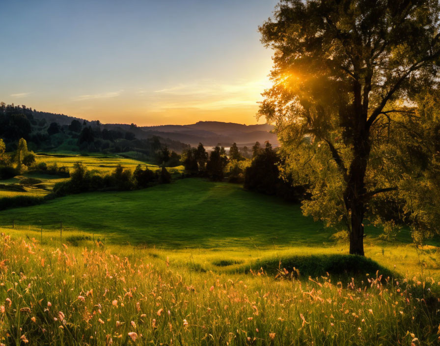 Picturesque sunrise over lush green countryside landscape